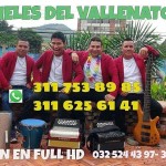 Parrandon Vallenato Cali 44